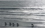 Stacks Image 103